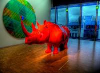 Красный носорог - современное изобразительное искусство